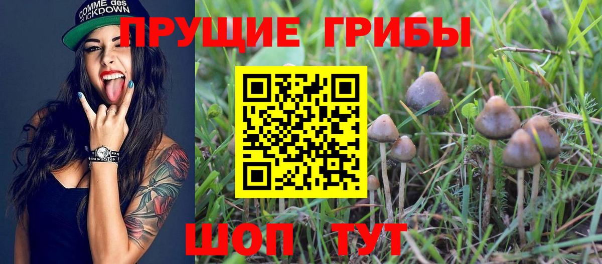 Псилоцибиновые грибы MAGIC MUSHROOMS  Вход с VPN  Тавда  Псилоцибиновые грибы прущие грибы 
