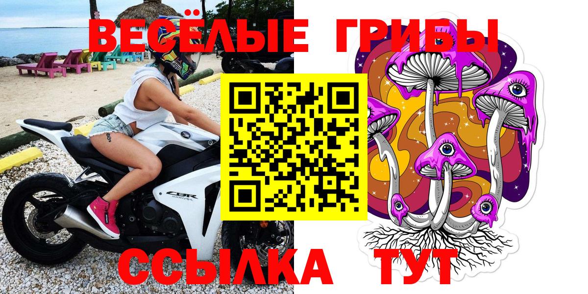 Псилоцибиновые грибы Cubensis Тавда